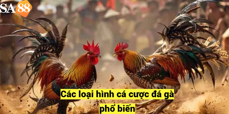 Các loại hình cá cược đá gà phổ biến