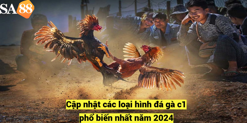 Cập nhật các loại hình đá gà c1 phổ biến nhất năm 2024