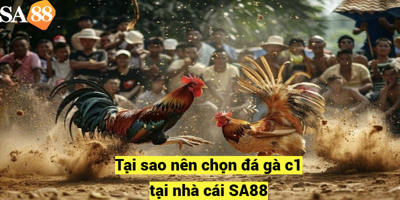 Tại sao nên chọn đá gà c1 tại nhà cái SA88?